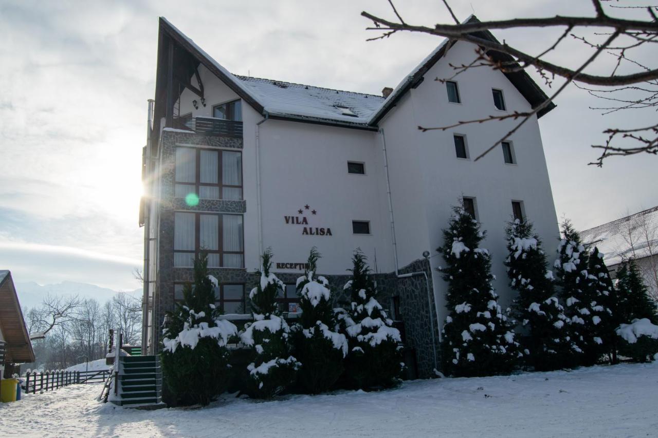 Vila Alisa Bran  Exterior foto